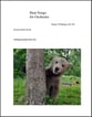 Bear Songs Orchestra sheet music cover